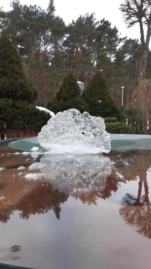 Kranto Vila Паланга Екстер'єр фото