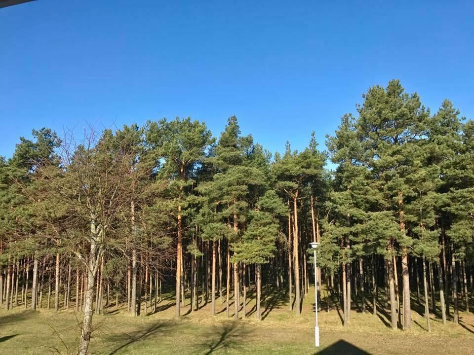 Kranto Vila Паланга Екстер'єр фото
